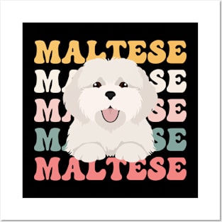 Maltese Dog Posters and Art